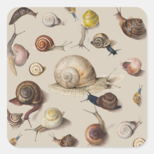 Snail Garden Haustier Gastropod Seven Lug Botanisc Quadratischer Aufkleber
