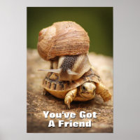 Snail Riding Baby Tortoise