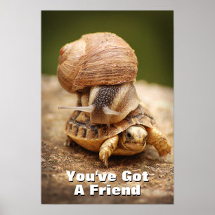 Snail Riding Baby Tortoise Poster