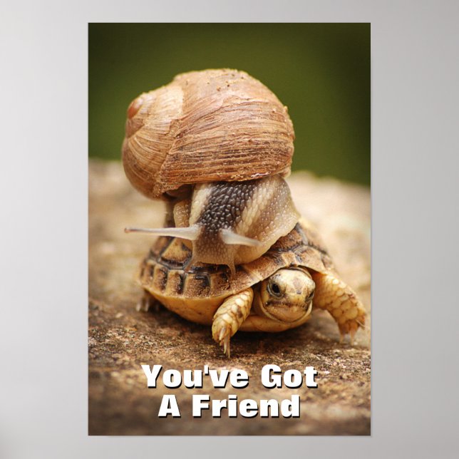 Snail Riding Baby Tortoise Poster (Vorne)