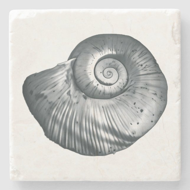 Snail Shell Steinuntersetzer (Vorderseite)
