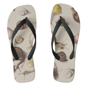 Snail Slug Garden Haustier Gastropod Botanische Sc Flip Flops