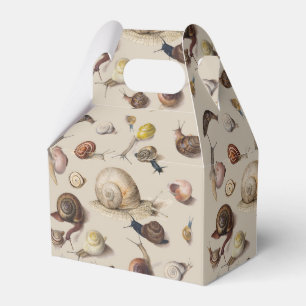 Snail Slug Garden Haustier Gastropod Botanische Sc Geschenkschachtel