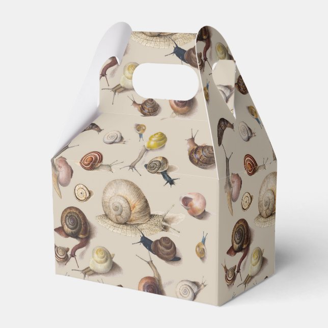 Snail Slug Garden Haustier Gastropod Botanische Sc Geschenkschachtel (Vorderseite)