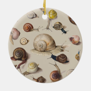 Snail Slug Garden Haustier Gastropod Botanische Sc Keramik Ornament