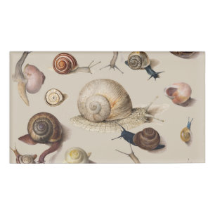 Snail Slug Garden Haustier Gastropod Botanische Sc Namenschild