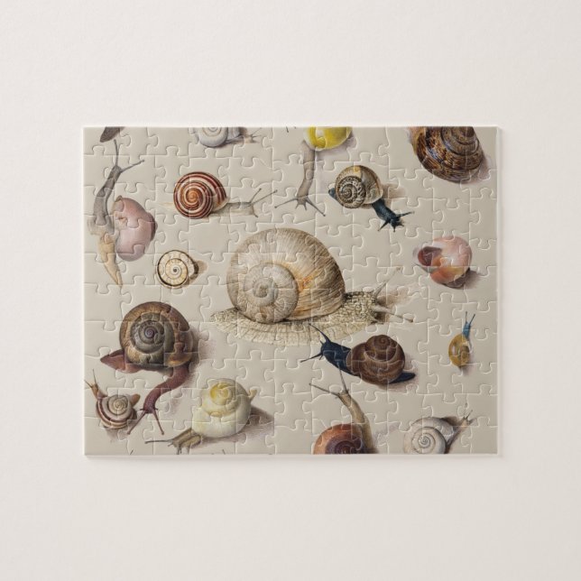 Snail Slug Garden Haustier Gastropod Botanische Sc Puzzle (Horizontal)