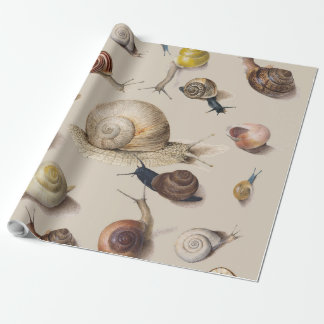 Snail Slug Garden Pet Gastropod Botanical Snails Geschenkpapier