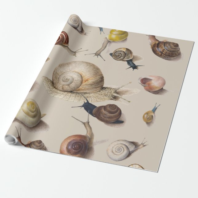 Snail Slug Garden Pet Gastropod Botanical Snails Geschenkpapier (Ungerollt)