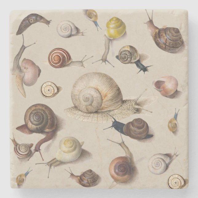Snail Slug Garden Pet Gastropod Botanical Snails Steinuntersetzer (Vorderseite)