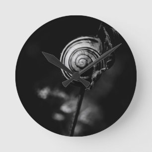 snail tail runde wanduhr