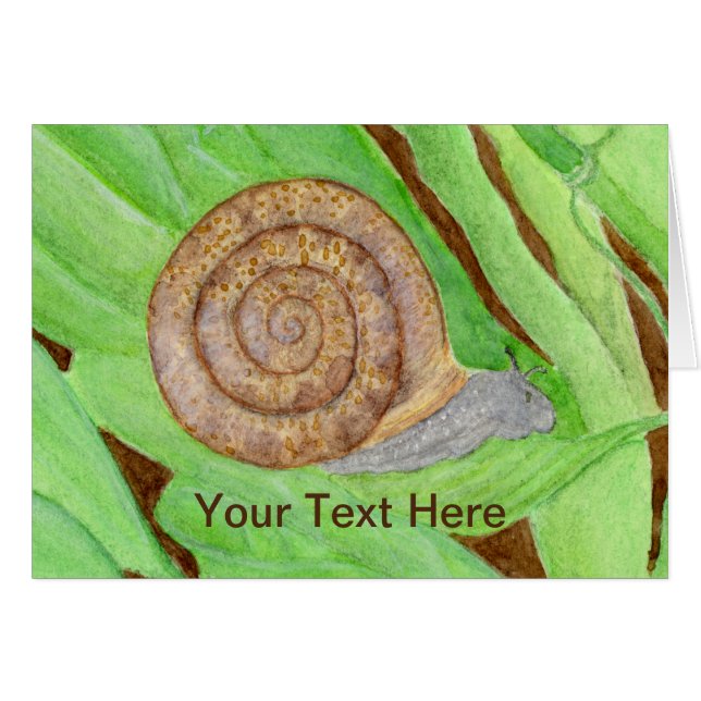 Snail Watercolor (Vorderseite (Horizontal))