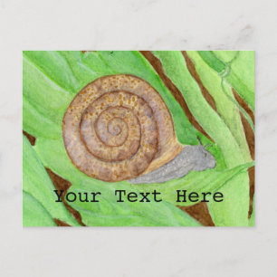 Snail Watercolor Postkarte