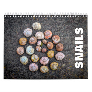 Snails 2022 Wall Calendar Kalender