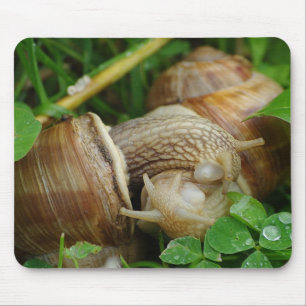 Snails Liebe Kiss Mousepad