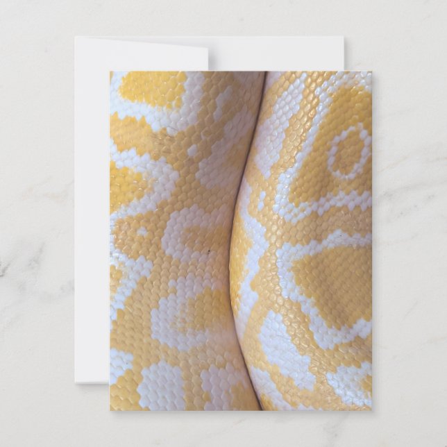 Snake Birthday Card Happy Birthday Snake (Vorderseite)