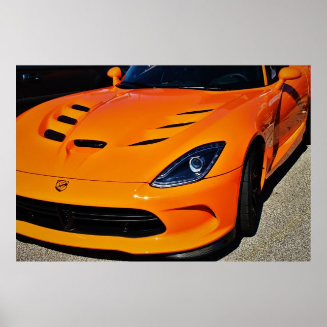 Snake Bitten Poster (Vorne)