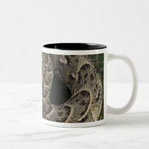 Snake Charmers afrikanischer Puff-adder Bitis Zweifarbige Tasse