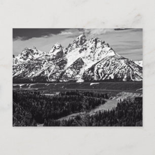 Snake River Curve - The Grand Tetons Postkarte
