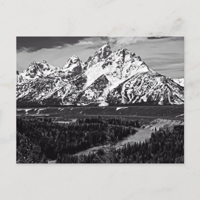 Snake River Curve - The Grand Tetons Postkarte (Vorderseite)