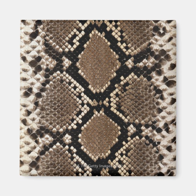 Snake Skin Magnet (Vorne)