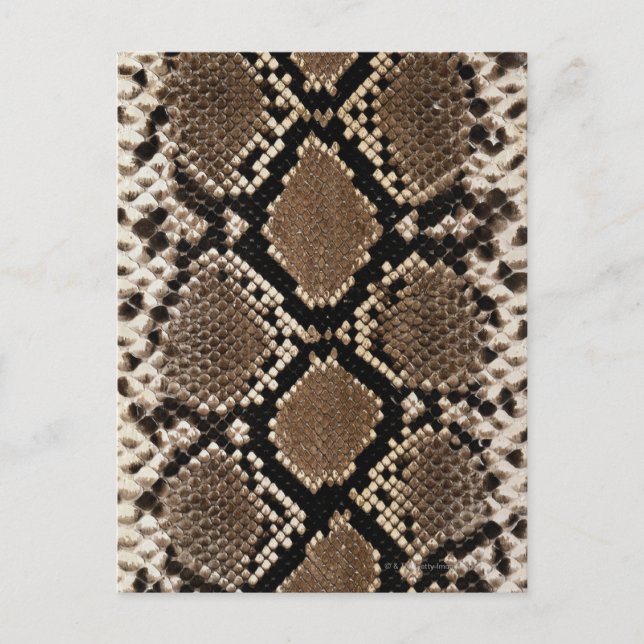 Snake Skin Postkarte (Vorderseite)