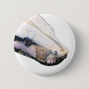 snakes- amazonisches Boa constrictor Button