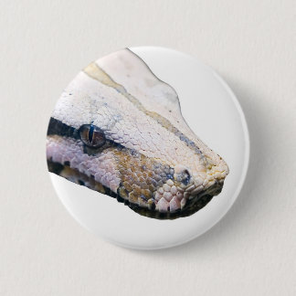 snakes- amazonisches Boa constrictor Button