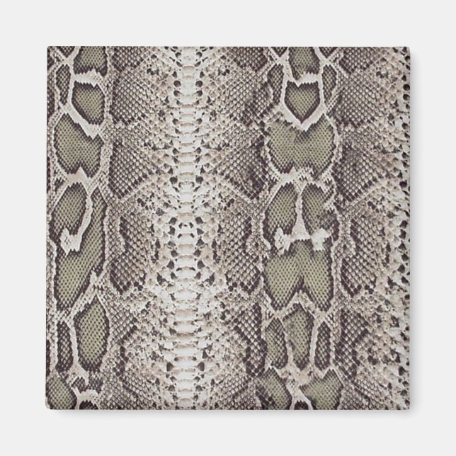 Snakeskin Animal Print Magnet (Vorne)