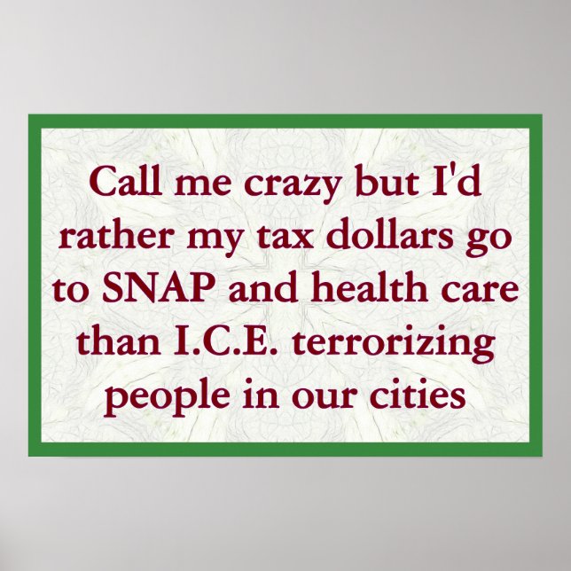 SNAP not ICE Poster (Vorne)