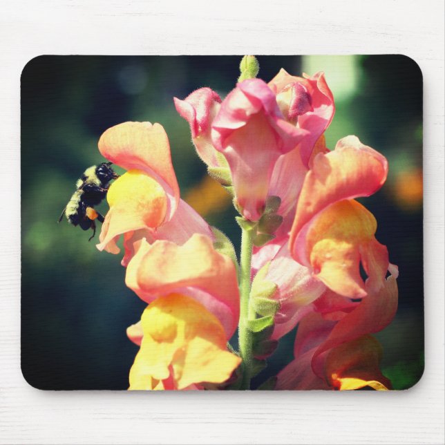 Snapdragon Blume und Hummeln Mousepad (Vorne)