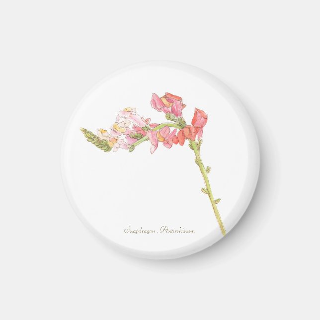 Snapdragon Magnet (Vorne)