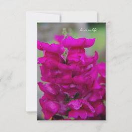 Snapdragon Mitteilungskarte