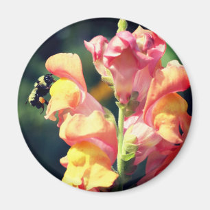 Snapdragon und Bienenblumen-Fotografie Magnet