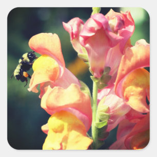Snapdragon und Blume der Bienen Quadratischer Aufkleber