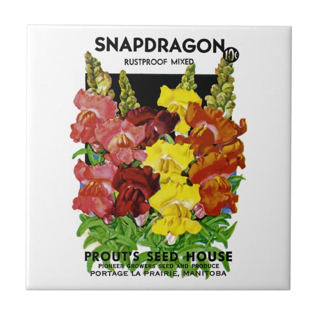 Snapdragon Vintages Samen-Paket Fliese (Vorderseite)