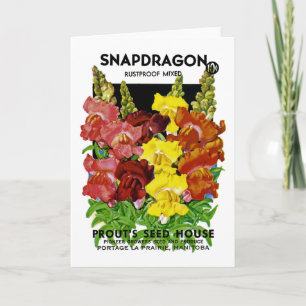 Snapdragon Vintages Samen-Paket Karte