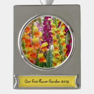 Snapdragons farbenfrohe Blüte Banner-Ornament Silber