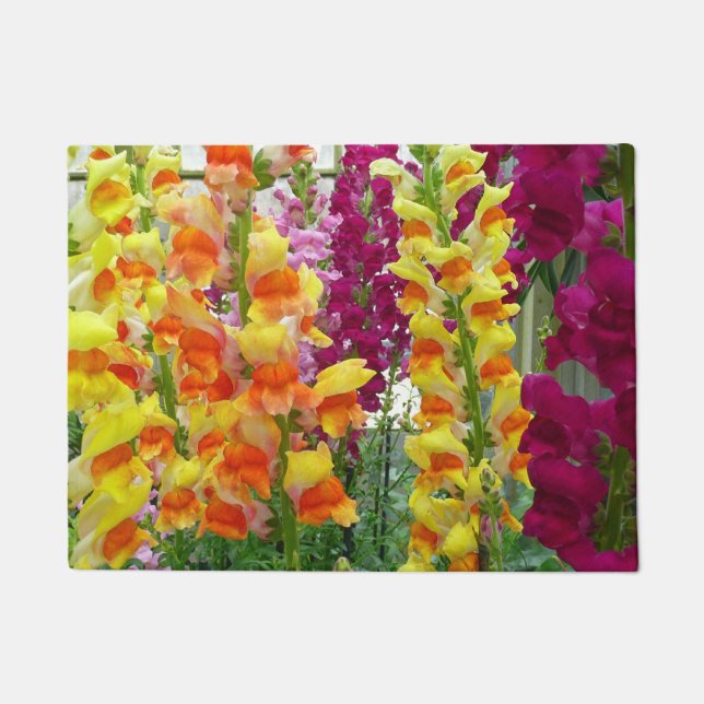Snapdragons farbenfrohe Blüte Fußmatte (Vorderseite)