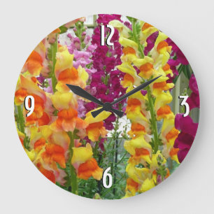 Snapdragons farbenfrohe Blüte Große Wanduhr