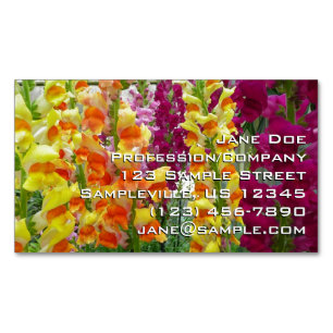 Snapdragons farbenfrohe Blüte Magnetische Visitenkarte