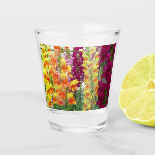Snapdragons farbenfrohe Blüte Schnapsglas