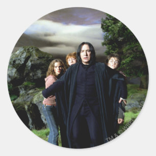 Snape Hermoine Ron Harry Runder Aufkleber