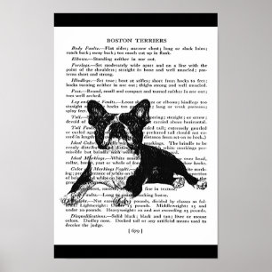 SNAPPY BOSTON BULL TERRIER VINTAGE ART PRINT POSTER