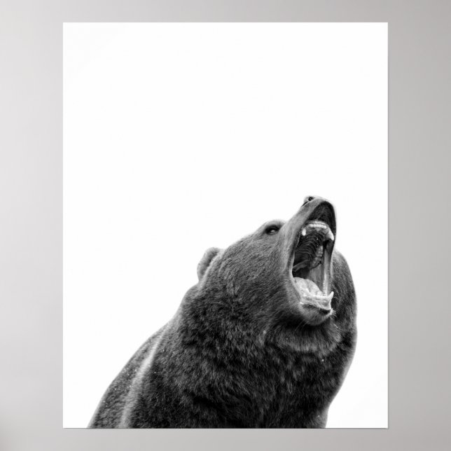 Snarling Grizzly Bear Schwarz-weiß modern Poster (Vorne)