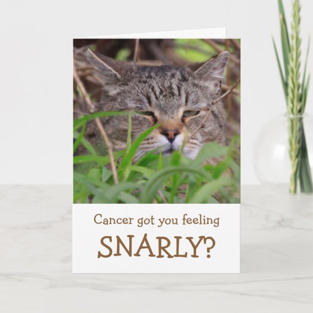Snarly Cat Funny Cancer Faltkarte Karte (Vorderseite)