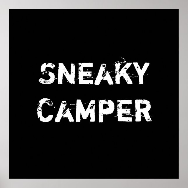 Sneaky Camper. Gamer Poster (Vorne)