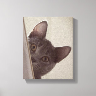 "Sneaky Cat" Print on Stretched Leinwand