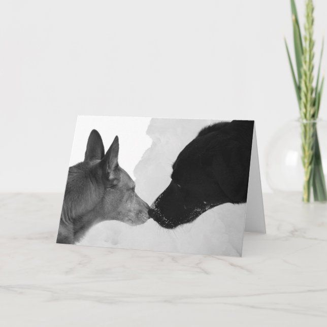 Sniffing Greeting Karte (Vorderseite)