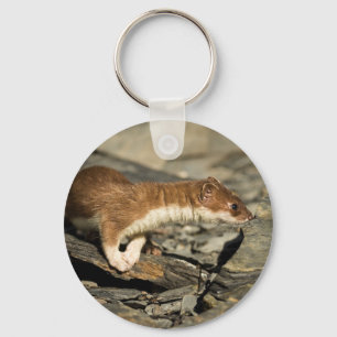 Sniffing Weasel Schlüsselanhänger